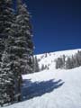 Spalding Bowl